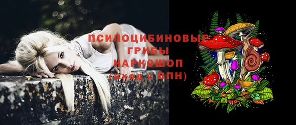 круглые Краснослободск
