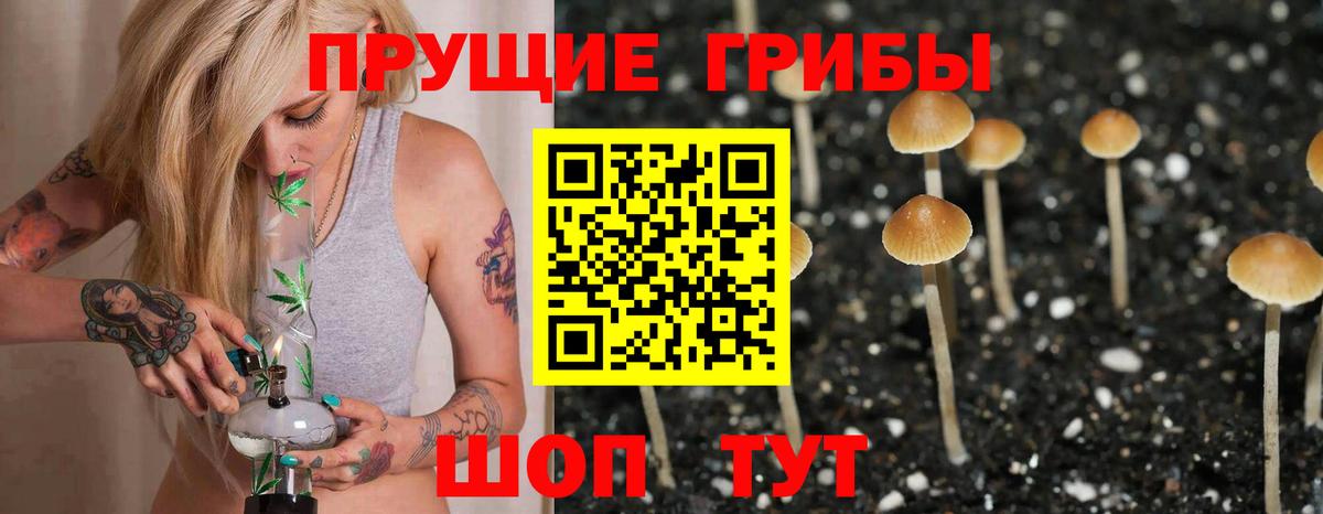 Галлюциногенные грибы Cubensis Городец