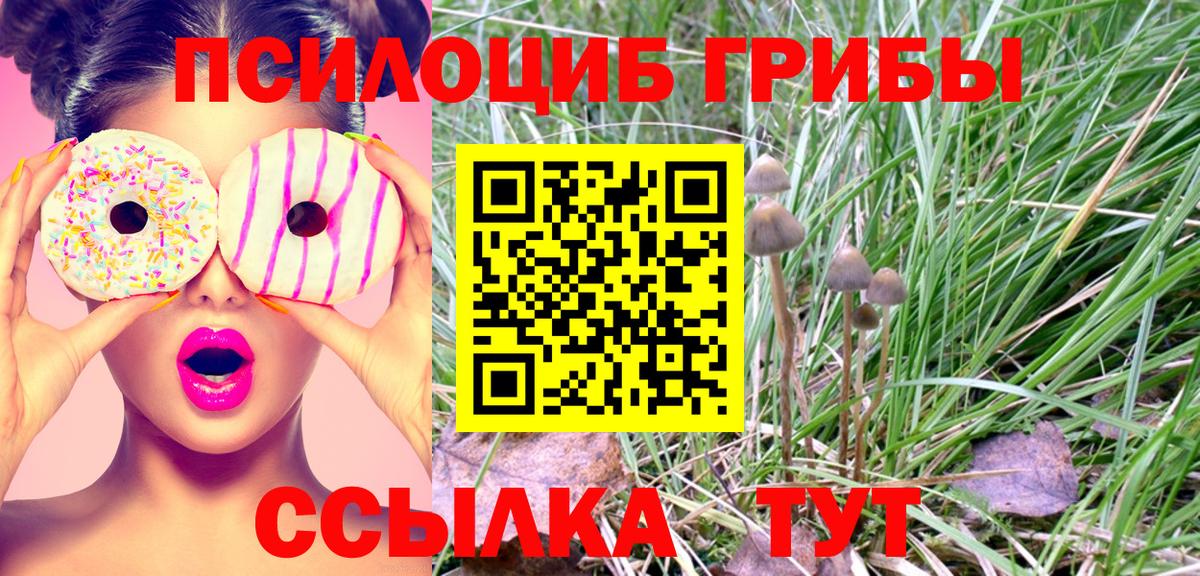 Псилоцибиновые грибы прущие грибы  Городец  Галлюциногенные грибы Magic Shrooms 